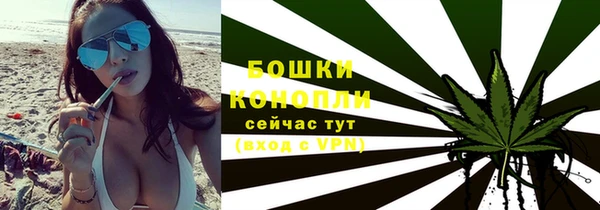 мдпв Тобольск