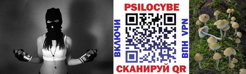 blacksprut tor  Балтийск  Псилоцибиновые грибы ЛСД 