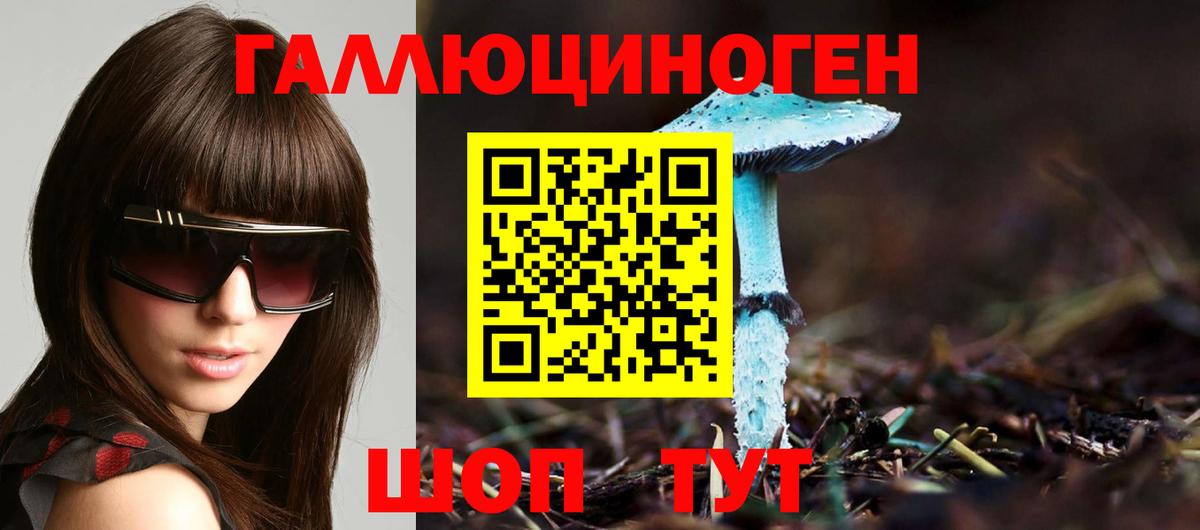 Псилоцибиновые грибы прущие грибы Балтийск